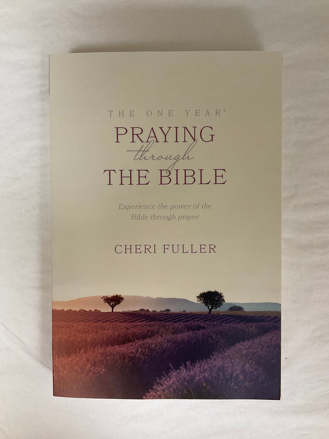 Praying Through The Bible