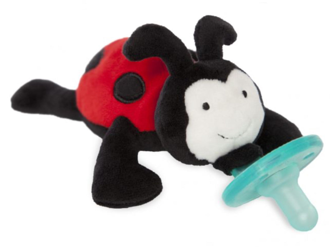 Ladybug Pacifier