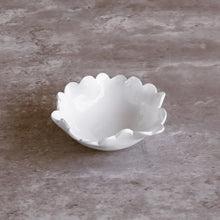 VIDA Colette Collection