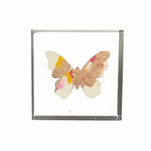 Butterfly Lucite Block