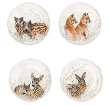 Sologne Collection