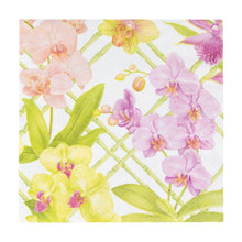 Orchid Conservatory Collection