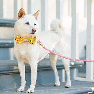 Orchid Valentine's Day Marine Rope Dog Leash
