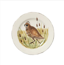 Wildlife Collection