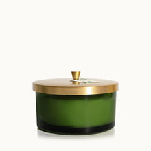Frasier Fir Tidings Collection