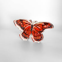 Monarch Butterfly Bitty