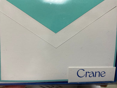 Aqua Bordered Notes on Pearl White Kid Finish CF1782