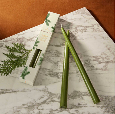 Frasier Fir 12