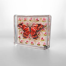 Monarch Butterfly on Peach Block