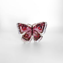 Purple Butterfly Bitty
