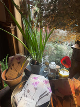 Morning Glory Chocolate Bar 