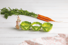 Bunny Cabbage Triple Tidbit