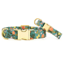 Rifle Paper Co. X Tfd Citrus Floral Spring Dog Collar