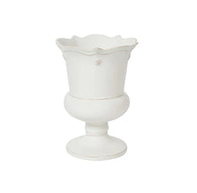 Berry & Thread Garden Collection