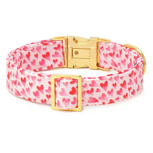 Heart Throb Valentine's Day Dog Collection