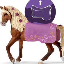Paso Fino stallion horse show
