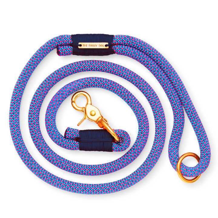 Climbing Rope Dog Leash-Neon Tetra
