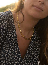 Bamboo Collection