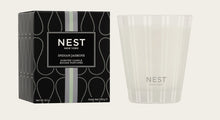 Nest Indian Jasmine