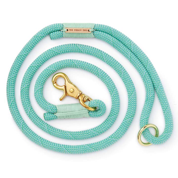 Climbing Rope Dog Leash-Spearmint