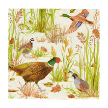 Birds Of A Feather Collection
