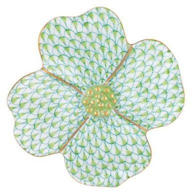 DOGWOOD FLOWER Collection