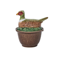 Forest Walk Collection