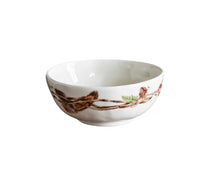 Forest Walk Collection