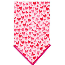 Heart Throb Valentine's Day Dog Collection