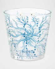 Ocean Mist & Sea Salt Collection