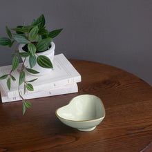 Encanto Collection