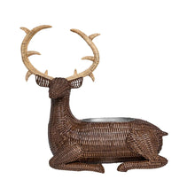 Devon Willow Collection