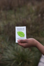 Peppermint Towelettes  - 7 Individual Essential Oil Wipes
