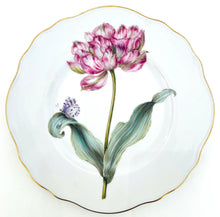 Botanical Treasures Collection