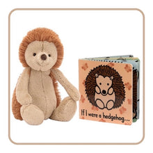 Medium Bashful Hedgehog