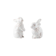 Clever Creatures Collection