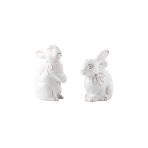 Clever Creatures Collection