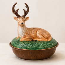 Forest Walk Collection