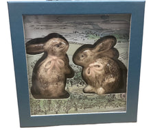 Clever Creatures Collection