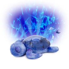 Tranquil Turtle