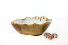 Abalone & Tortoise Collection