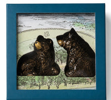 Clever Creatures Collection