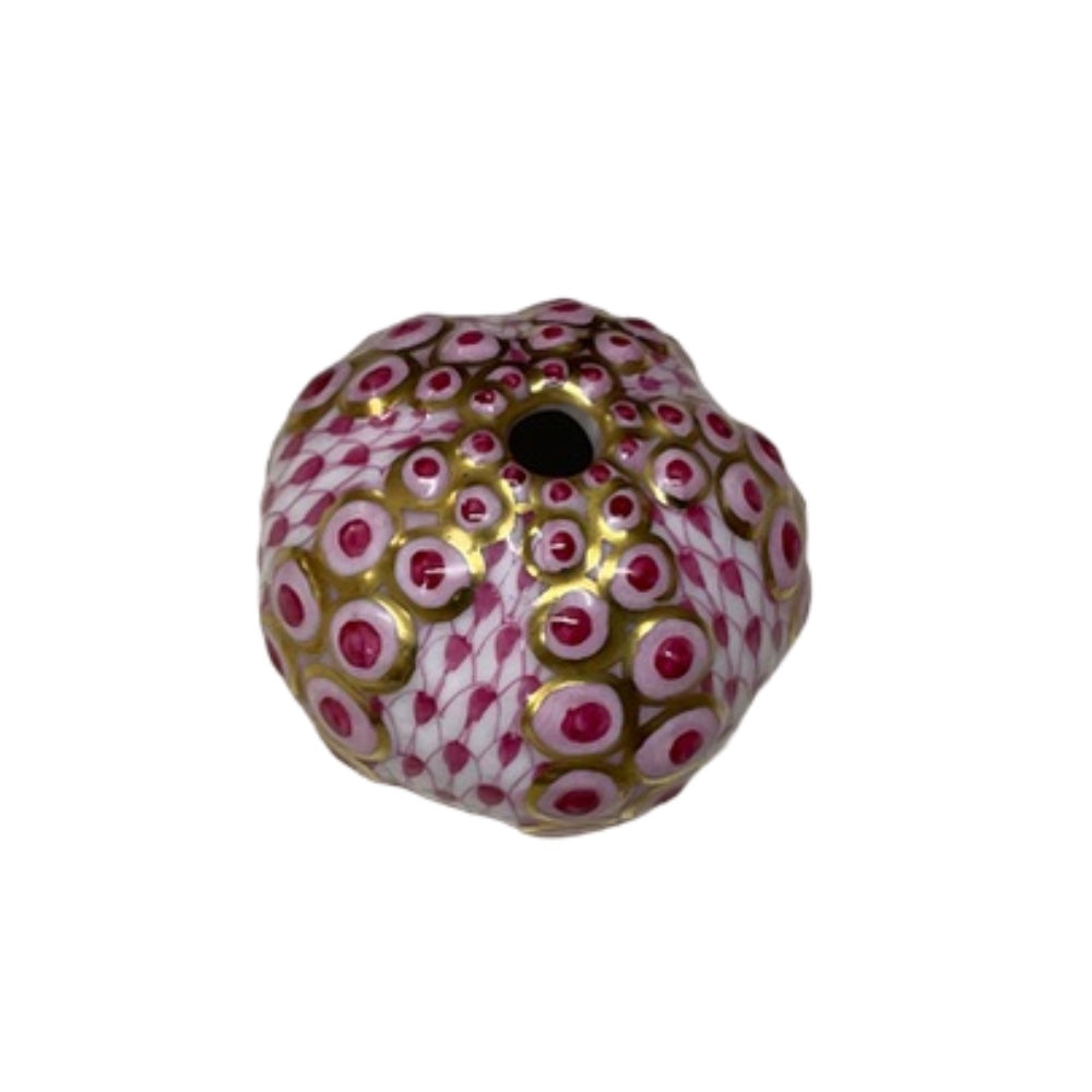 Raspberry Sea Urchin-svhp15932-0