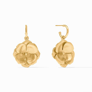 Bloom Collection