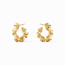 Bloom Collection