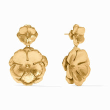 Bloom Collection