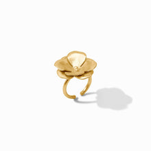Bloom Collection
