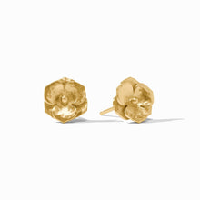 Bloom Collection