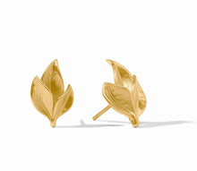 Willow Collection