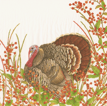 Turkey And Berries Collection